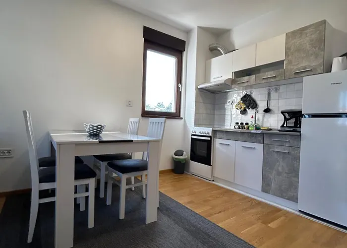 Nirvana 29 شقة زلاتيبور